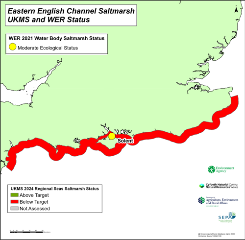 Eastern English channel saltmarsh UKMS and WER status.