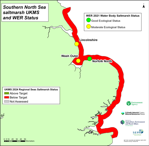 Southern North Sea saltmarsh UKMS and WER status.