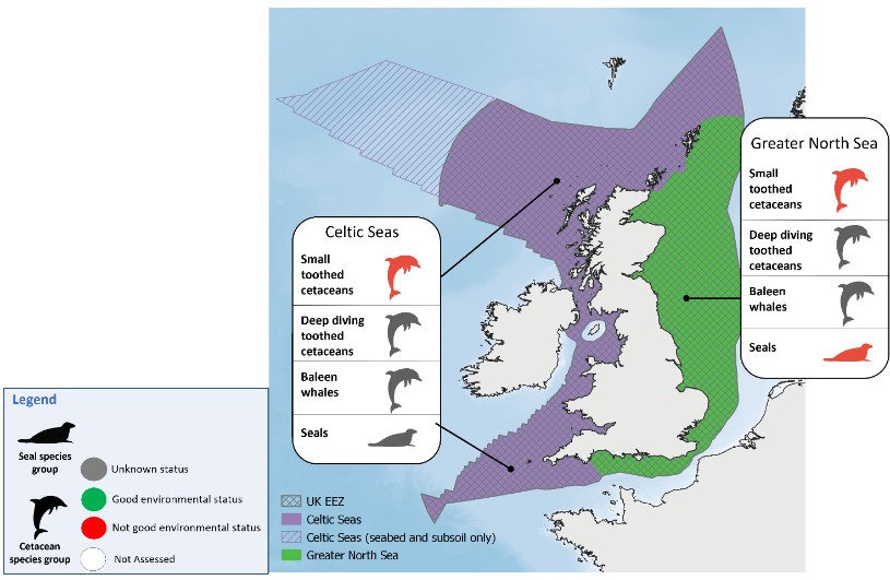 Figure showing marine mammals indicators divided between Celtic and North seas. Small toothed cetaceans have a not good environmental status in both Celtic and north seas. Deep diving toothed cetaceans and Baleen whales have an unknown status in both Celtic and north seas. Seals have unknown status in Celtic seas and a not good status in the north sea.
