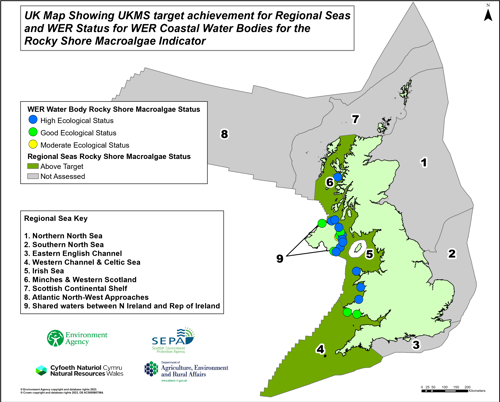 UK Map showing UKMS target achievement for regional seas and WER status for WER coastal water bodies for the rocky shore macroalgae indicator.