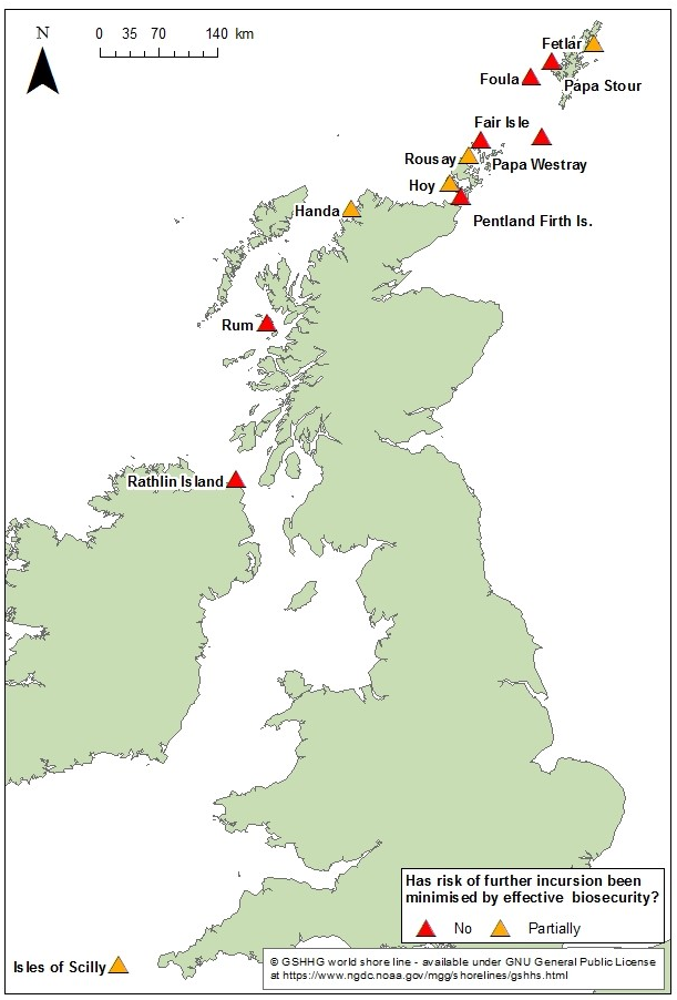 Island seabird colonies within UK Special Protection Areas, where invasive predatory mammals were present and the level to which risk of further incursion has been minimised by biosecurity.