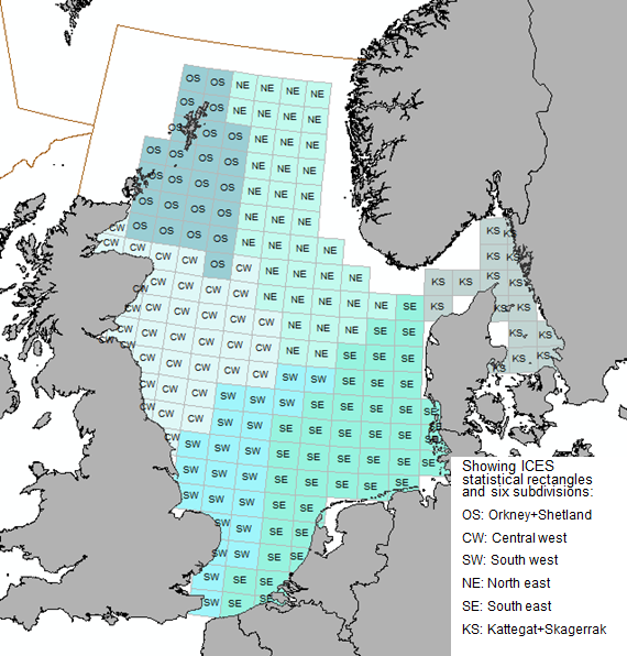 Figure 4. North Sea sub-divisions used as a basis for GNSIntOT1, GNSIntOT3, GNSNetBT3 analyses.