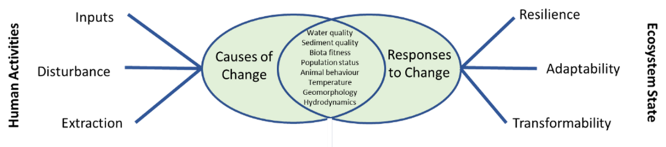 Cumulative Effects Of Human Activities