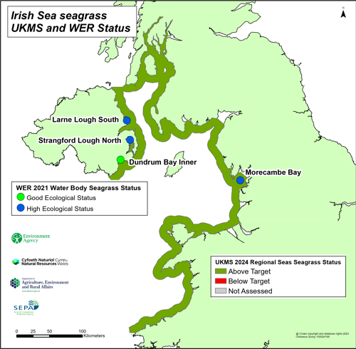 Irish Sea seagrass UKMS and WER status.
