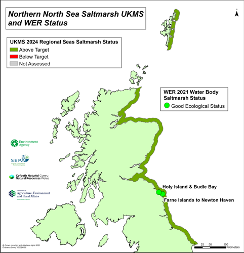 Northern north sea saltmarsh UKMS and WER status.