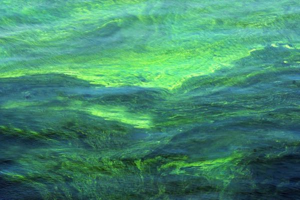 eutrophication