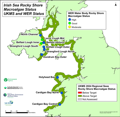 Irish sea rocky shore macroalgae status UKMS and WER status.