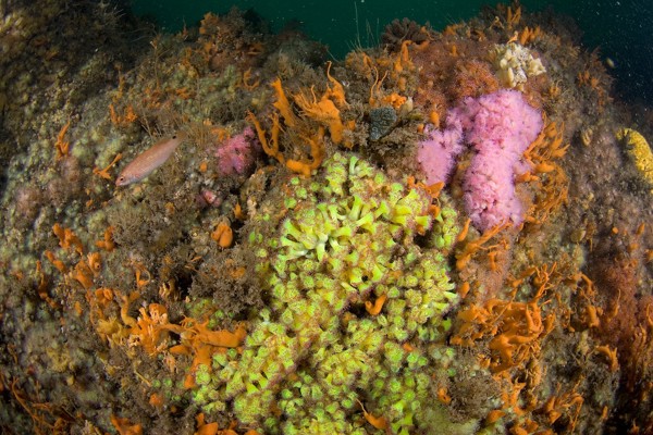 sea bed