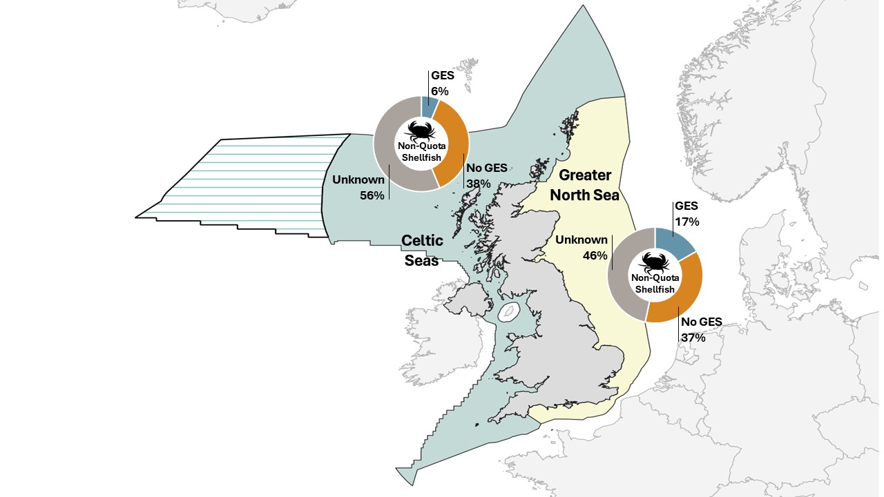 Map of Shellfish fishing pressure GES in Celtic and North seas.