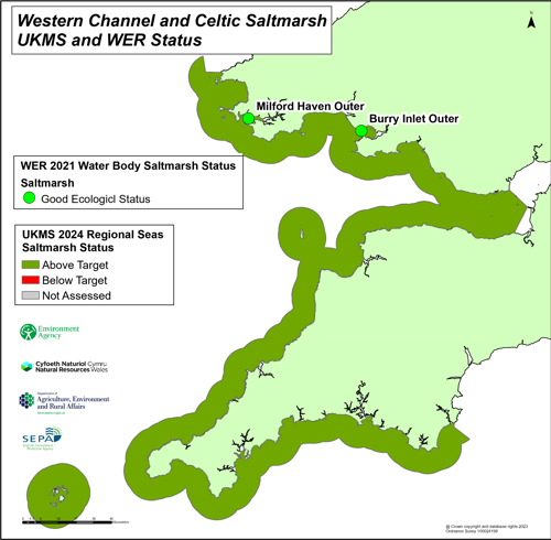 Western channel and Celtic saltmarsh UKMS and WER status.