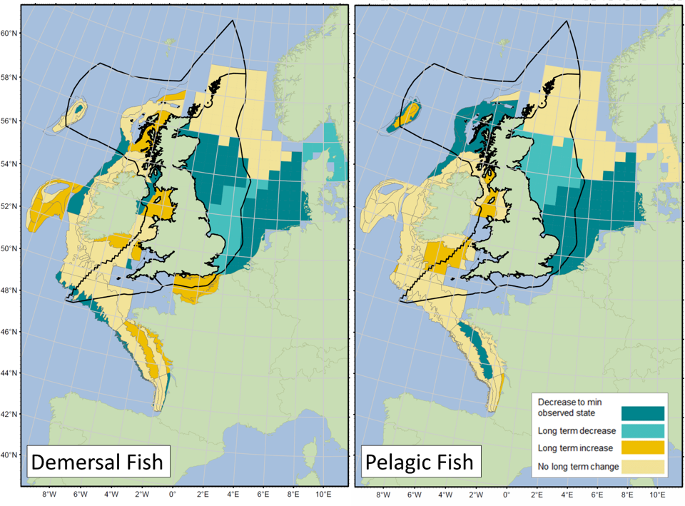 Species composition in fish communities - Marine online assessment