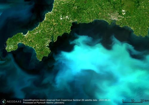 Satellite Image of Coccolithophore bloom.