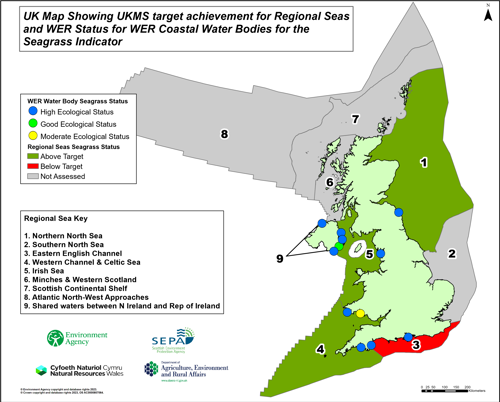 UK map showing UKMS target achievement for regional seas and WER status for WER coastal water bodies for the seagrass indicator.