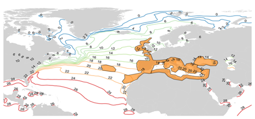 Map plot of North Atlantic ocean.