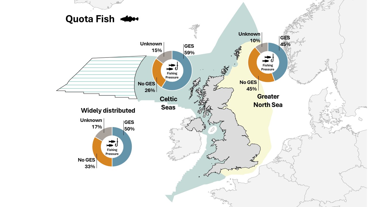 Map of fishing pressure good environmental status in Celtic and North Seas. 