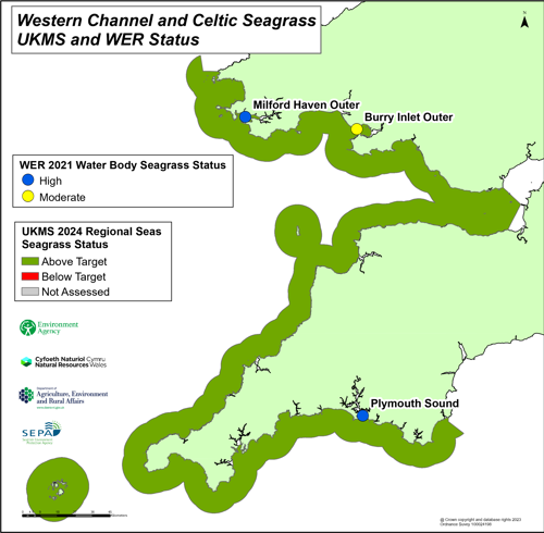 Western Channel and Celtic Seagrass UKMS and WER status.