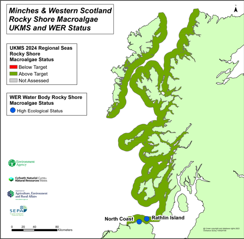 Minches & Western Scotland rocky shore macroalgae UKMS and WER status.