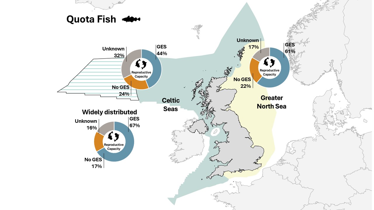Map of the UK and surrounding seas. With reproductive capacity GES percentages displayed for Celtic and North Seas.