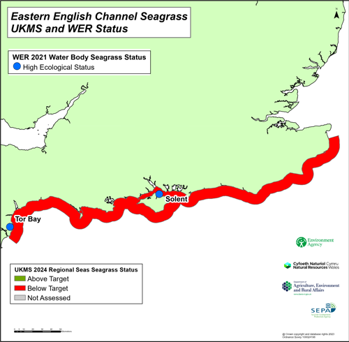 Eastern English channel seagrass UKMS and WER status.