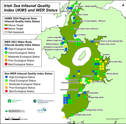 Irish sea infaunal quality index UKMS and WER status.