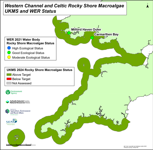 Western channel and Celtic rocky shore macroalgae UKMS and WER status.
