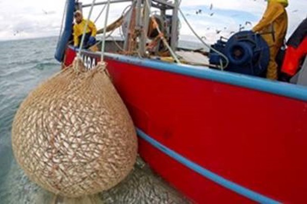 Commercial fishing