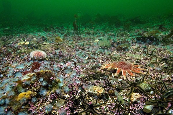 sea bed