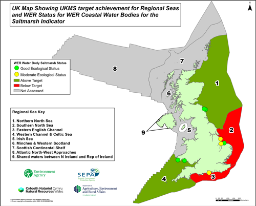 UK Map showing UKMS target achievement for Regional Seas and WER status for WER coastal water bodies for the saltmarsh indicator.