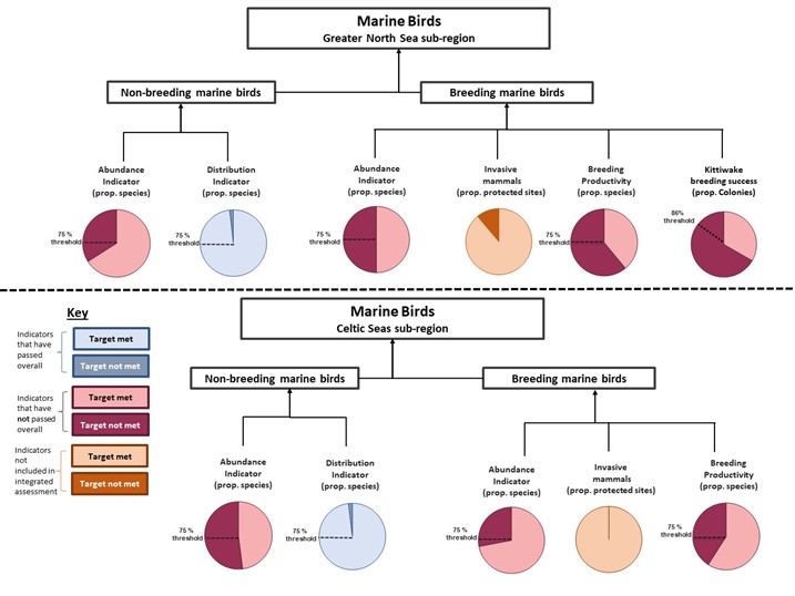 Schematic for birds indicators. Indicater are divided between Celtic and north seas, and between Breeding marine birds, Non-breeding marine birds. Indicators can have there target met, target not met or be not included in integrated assessment.